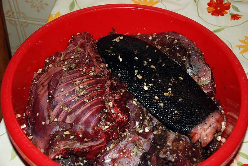 Как приготовить мясо бобра в домашних условиях видео Как приготовить мясо бобра в домашних условиях видео